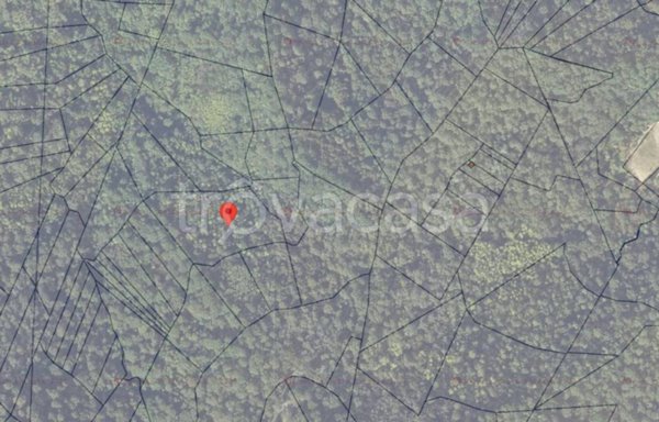 terreno edificabile in vendita a Casalborgone