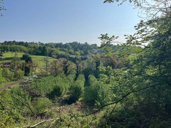 terreno agricolo in vendita a Casalborgone