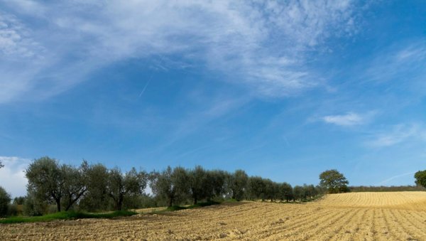 terreno agricolo in vendita a Casalborgone in zona Borganino