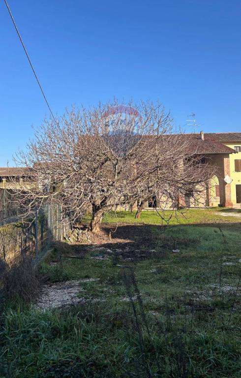 casa indipendente in vendita ad Acquafredda