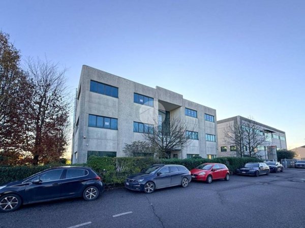 immagine annuncio 0 di 15