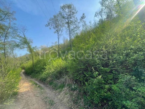 terreno agricolo in vendita ad Agnosine