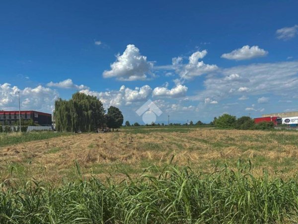 terreno agricolo in vendita ad Alfianello