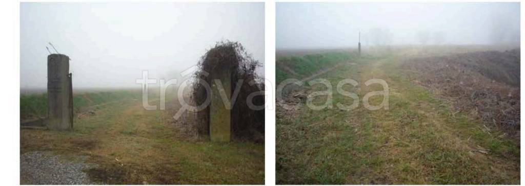 terreno agricolo in vendita ad Alfianello