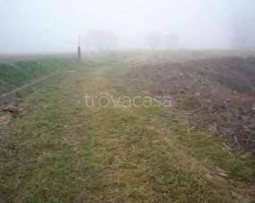 terreno agricolo in vendita ad Alfianello