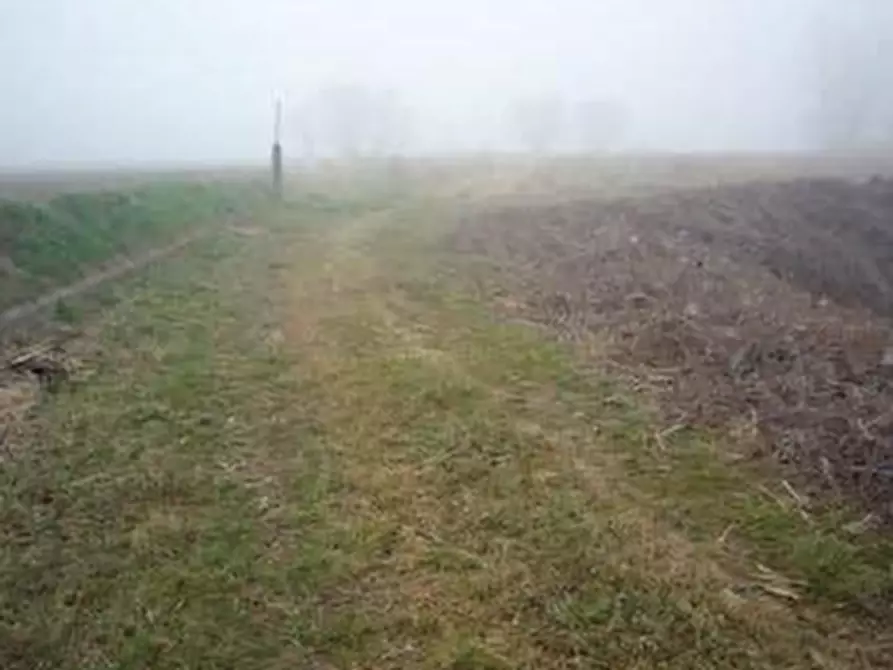 terreno agricolo in vendita ad Alfianello