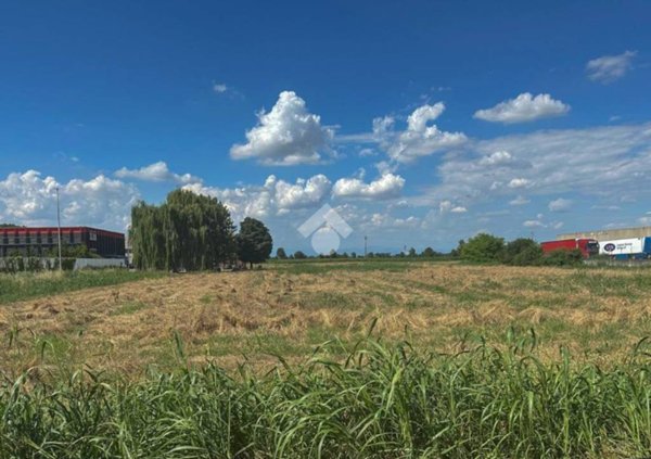terreno agricolo in vendita ad Alfianello