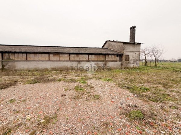 capannone in vendita ad Alfianello