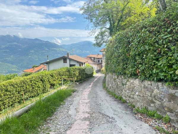 terreno agricolo in vendita ad Angolo Terme