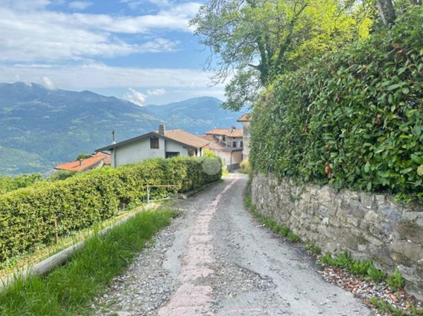 terreno agricolo in vendita ad Angolo Terme