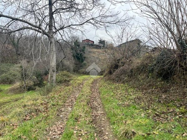 terreno agricolo in vendita ad Angolo Terme