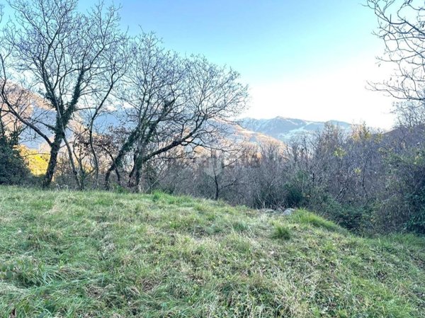 terreno agricolo in vendita ad Angolo Terme