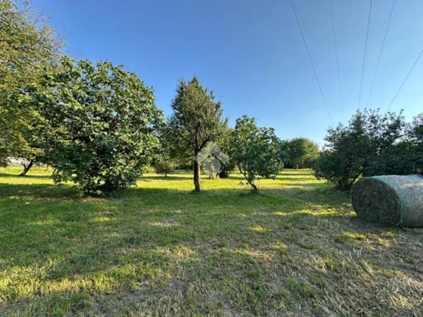 terreno agricolo in vendita ad Artogne