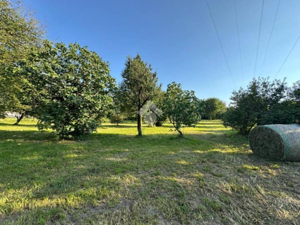 terreno agricolo in vendita ad Artogne