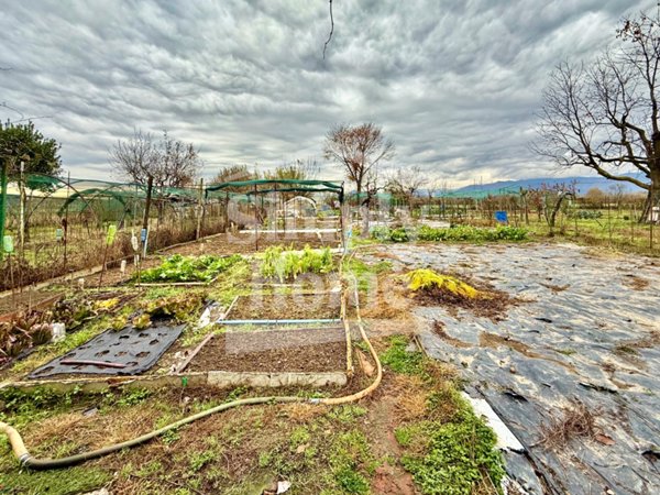 terreno agricolo in vendita a Caselle Torinese