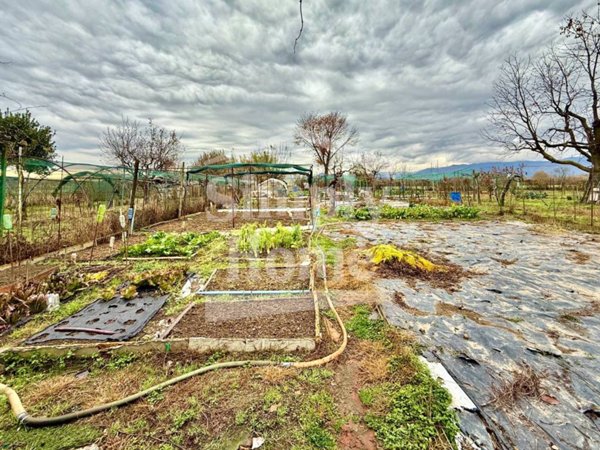 terreno agricolo in vendita a Caselle Torinese