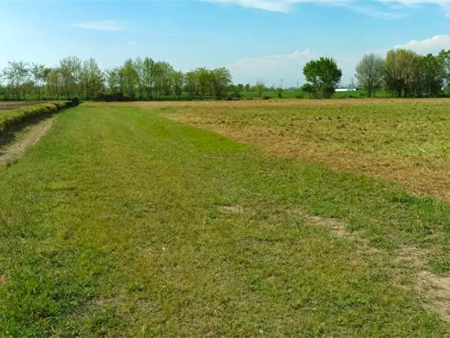 terreno agricolo in vendita a Bagnolo Mella