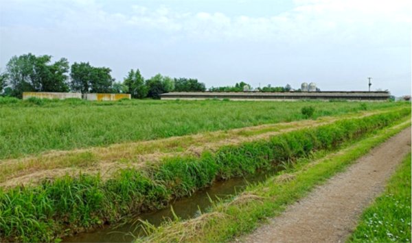 terreno agricolo in vendita a Bagnolo Mella