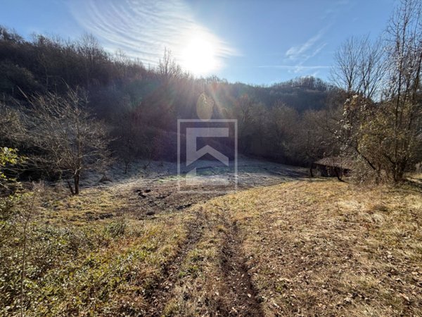terreno agricolo in vendita a Barghe