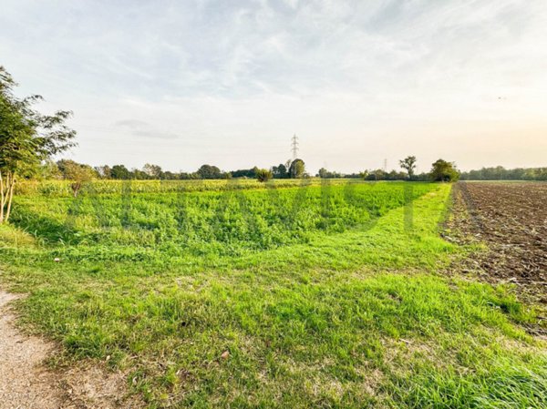 terreno agricolo in vendita a Bedizzole in zona Campagnola