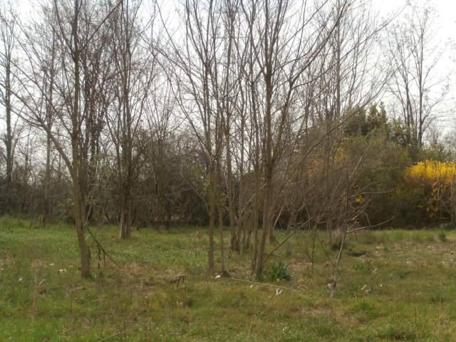 terreno agricolo in vendita a Bedizzole