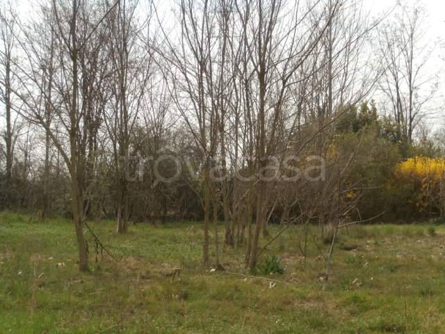 terreno agricolo in vendita a Bedizzole