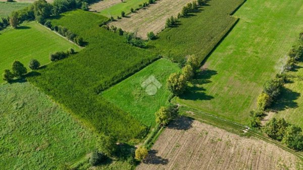 terreno agricolo in vendita a Bedizzole in zona Salago