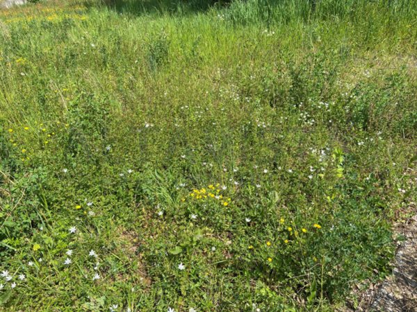 terreno edificabile in vendita a Bedizzole