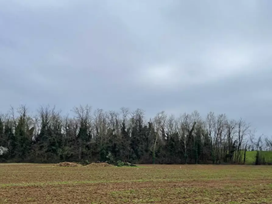 terreno agricolo in vendita a Bedizzole