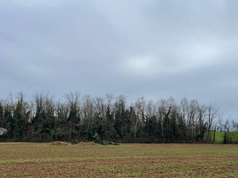 terreno agricolo in vendita a Bedizzole