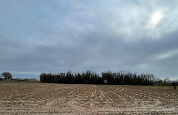 terreno agricolo in vendita a Bedizzole
