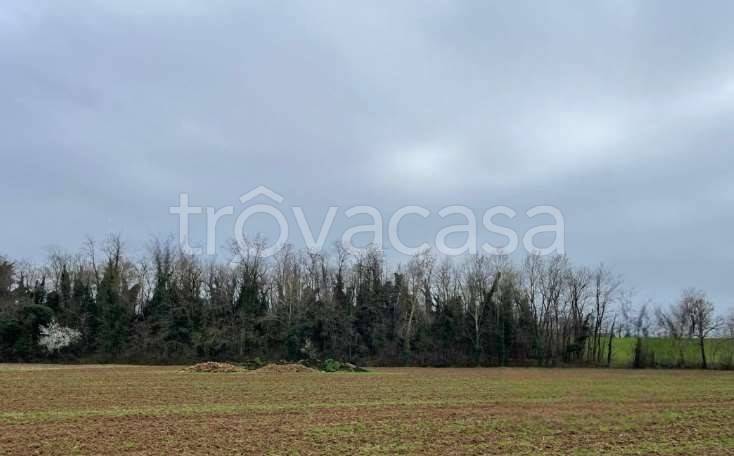 appartamento in vendita a Bedizzole in zona Piazza
