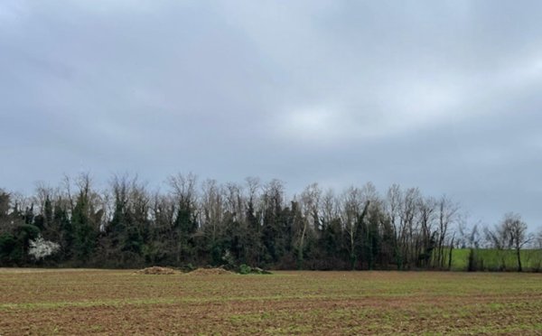 terreno agricolo in vendita a Bedizzole