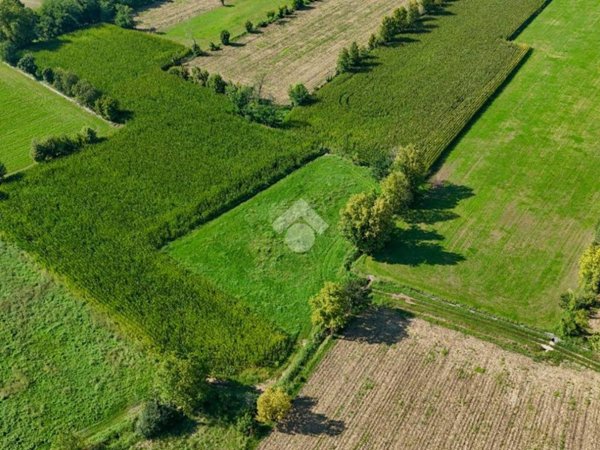 terreno agricolo in vendita a Bedizzole in zona Salago
