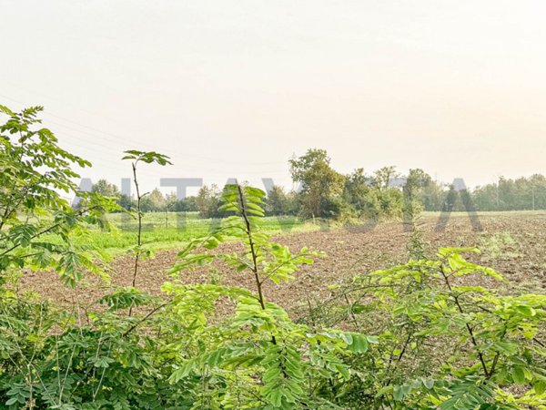 terreno agricolo in vendita a Bedizzole in zona Campagnola