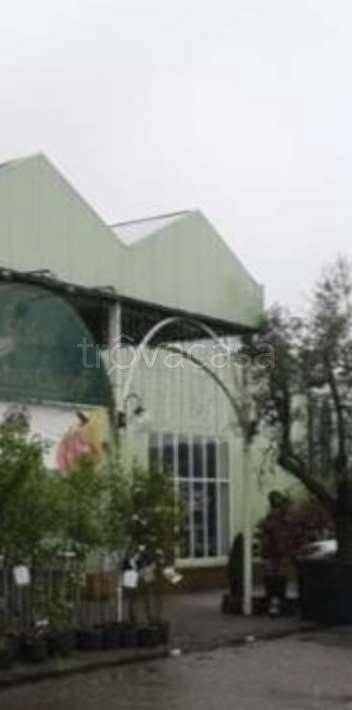 negozio in vendita a Bedizzole in zona Piazza