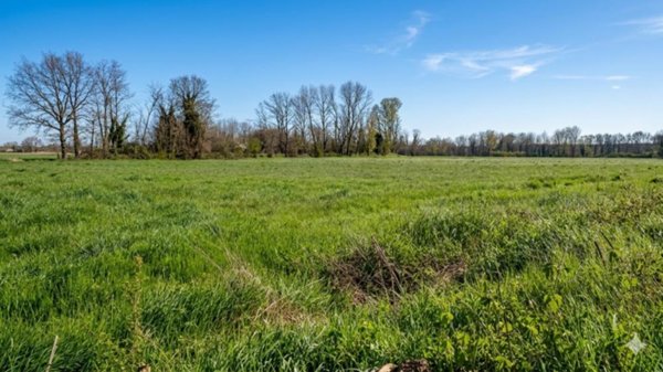 terreno agricolo in vendita a Bedizzole