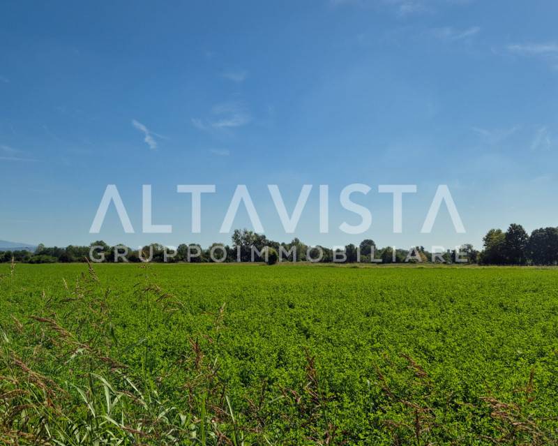 terreno agricolo in vendita a Bedizzole in zona Cogozzo