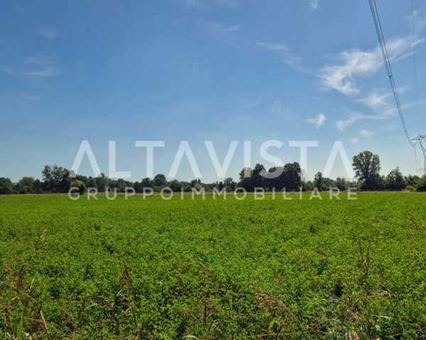 terreno agricolo in vendita a Bedizzole in zona Cogozzo