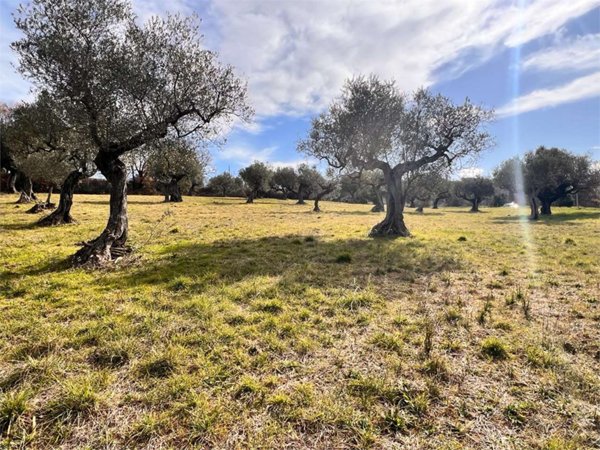 casa indipendente in vendita a Berzo Demo in zona Monte