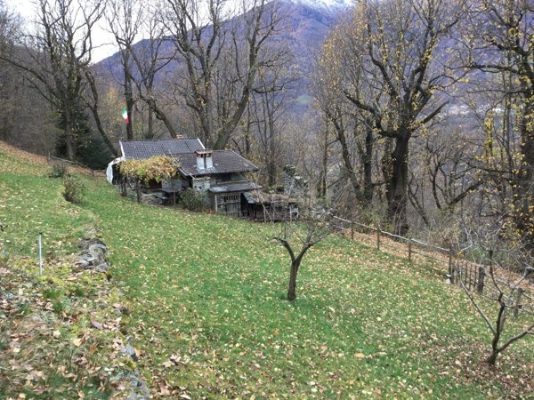 quadrivano in vendita a Berzo Demo