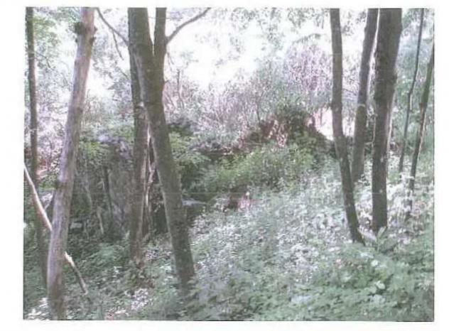 terreno agricolo in vendita a Bienno