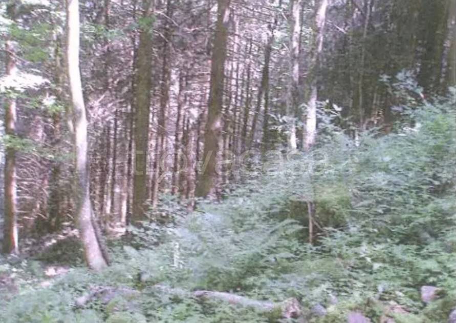 terreno agricolo in vendita a Bienno