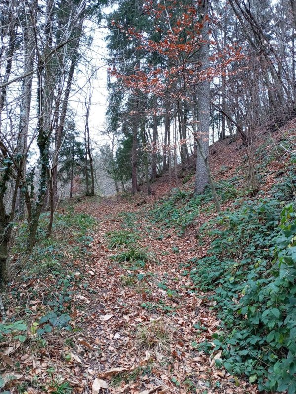 appartamento in vendita a Bione