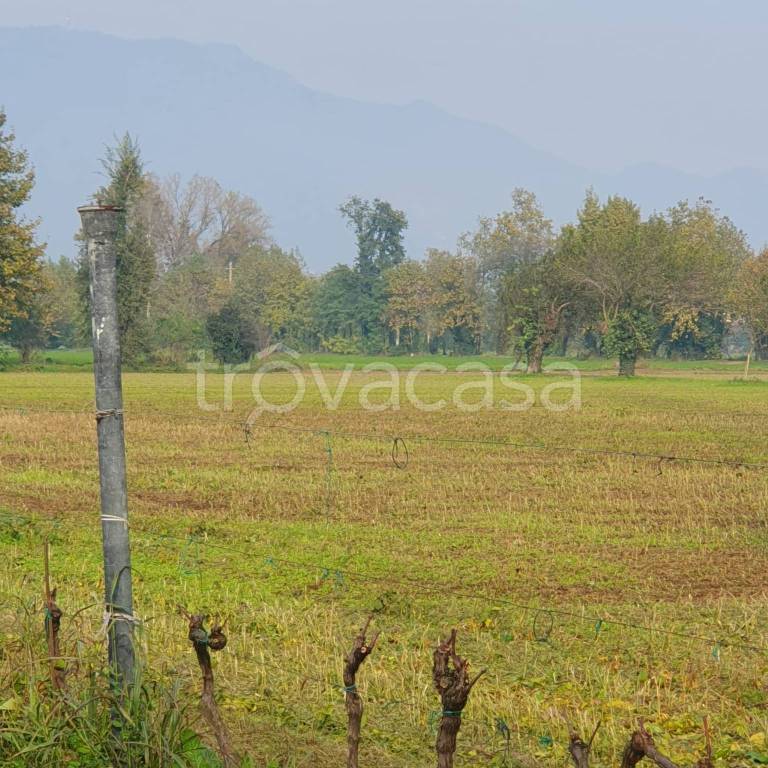 terreno agricolo in vendita a Borgosatollo