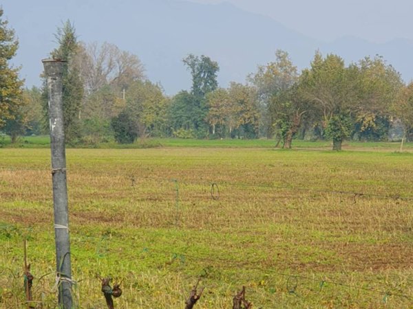 terreno agricolo in vendita a Borgosatollo
