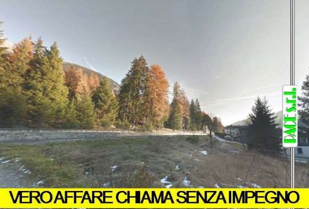 terreno agricolo in vendita a Borno