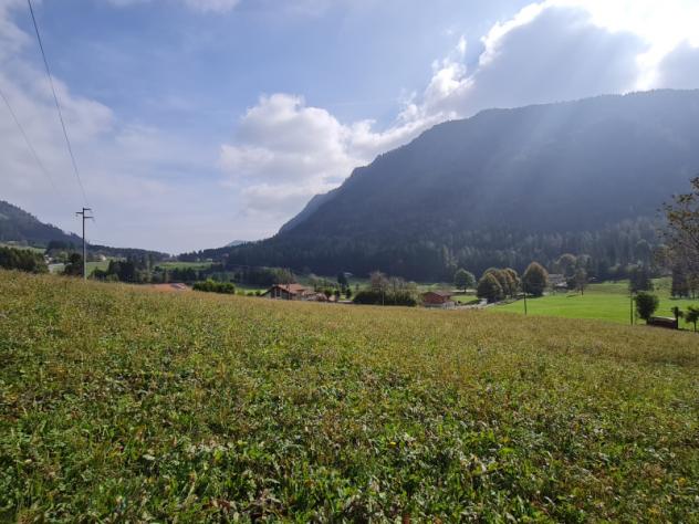terreno agricolo in vendita a Borno