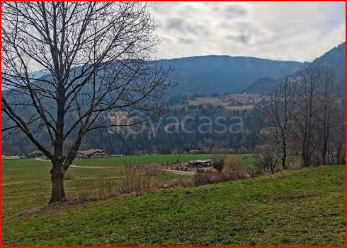 terreno agricolo in vendita a Borno