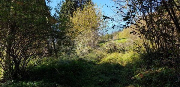 terreno agricolo in vendita a Borno